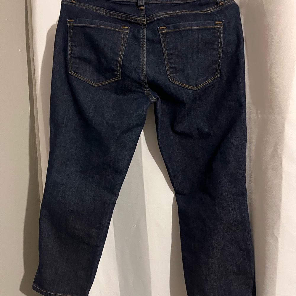 LOFT Dark Blue Ankle Jeans